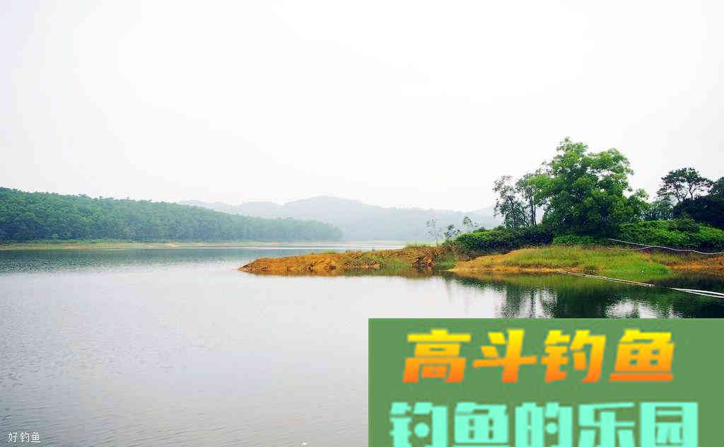 水库钓青鱼，分享2个打窝技巧