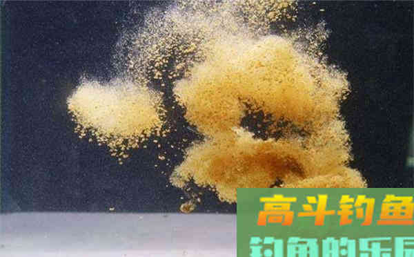 野钓饵料搭配的5个基本原则