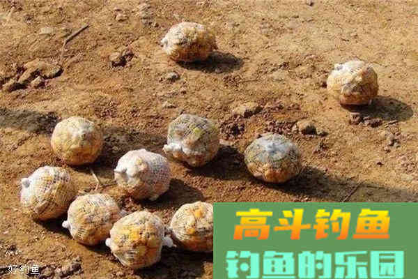 野钓打窝绝技，渔获翻倍不是事