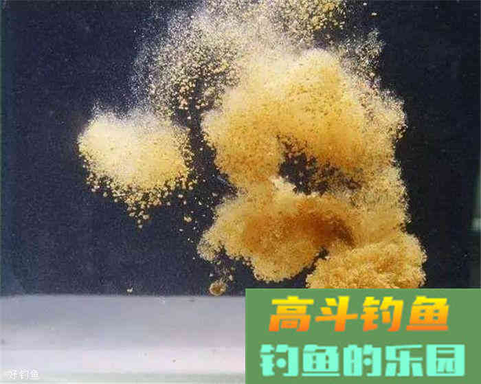 基础饵、主攻饵、状态饵，饵料组成部分解析