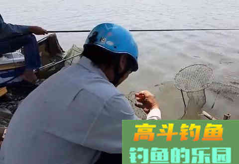 一般用的3个打窝方法，掌握基础才能触类旁通