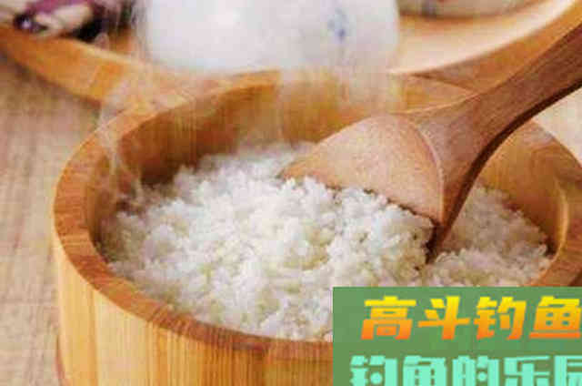 米饭饵用法的技巧，一试便灵