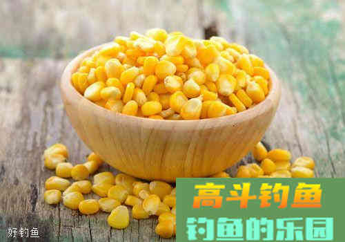 钓草鱼用什么打窝好？这四种素饵简单又实惠