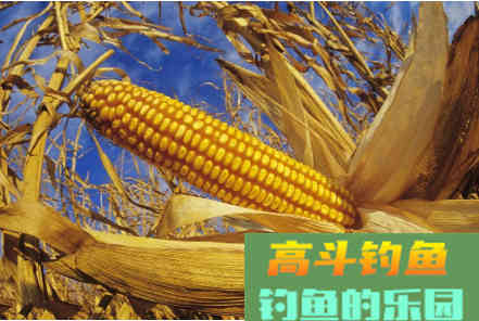 野钓诱鱼窝料这样打，简单便携效果好
