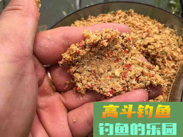 钓鱼时，饵料状态如何根据鱼情转变？