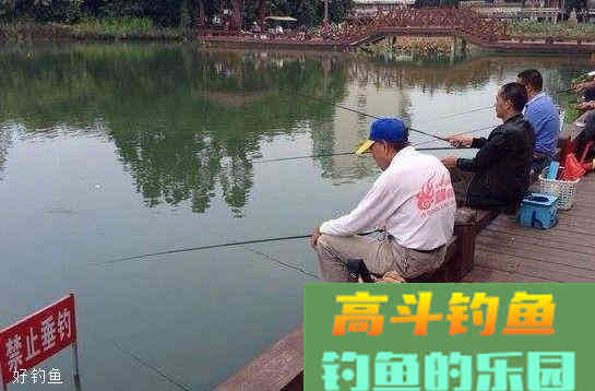 冬季钓鱼怎么正确打窝？