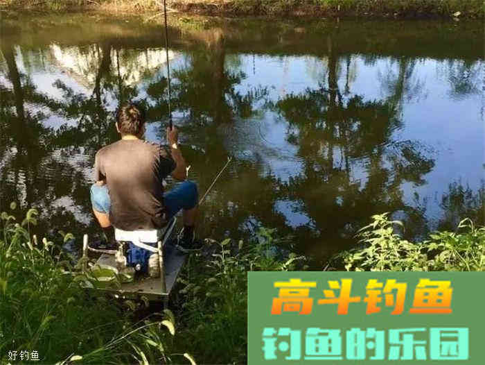 黑坑正钓和偷驴的打窝经验分享