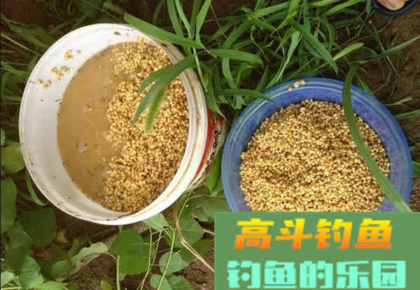 打窝补窝需要注意的细节，做的越到位发窝越快