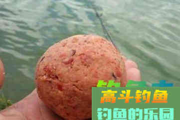 钓鱼用饵三大禁忌，切记！切记