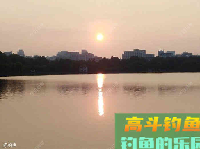 打窝的作用在于实施诱与钓的精髓