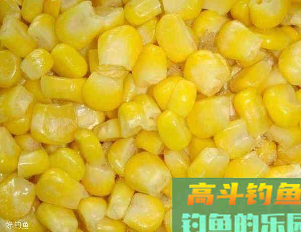 饵料搭配技巧：用饵配饵的原理，看了不走弯路