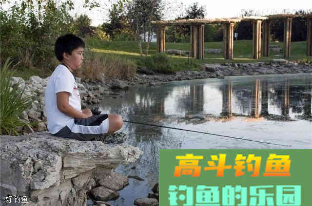 钓鱼老手告诉你：饵料要这样选才能爆护