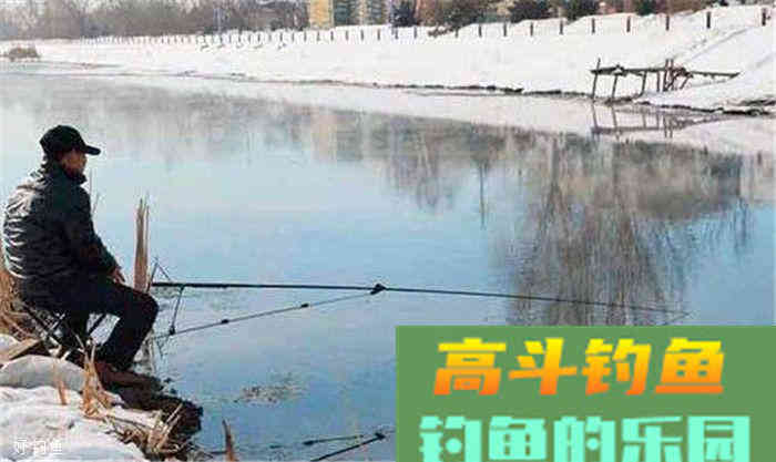 冬天钓鱼如何用饵，看民间高手的全面分析
