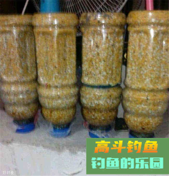 秋钓鲫鱼的用饵技巧和钓具选择方法