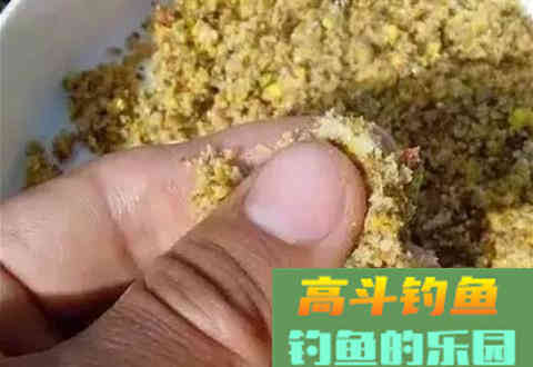 如何根据鱼情鱼口试试改变饵料雾化状态