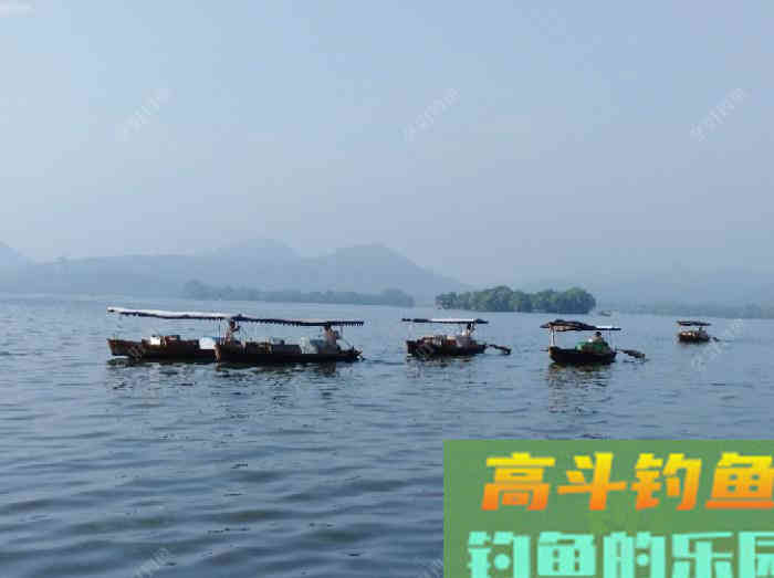 打窝的意义目的，季节气温不同该怎么打窝