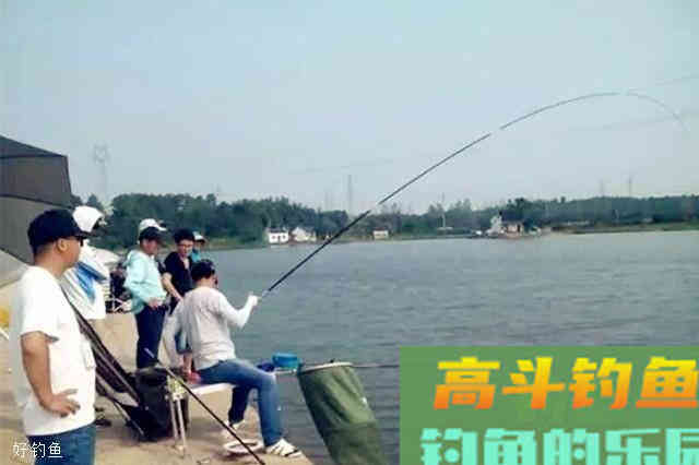 秋季钓鱼打窝就用这款配方，效果不是一般的好
