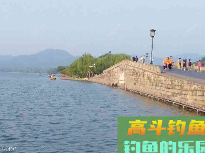 打窝的作用在于实施诱与钓的精髓