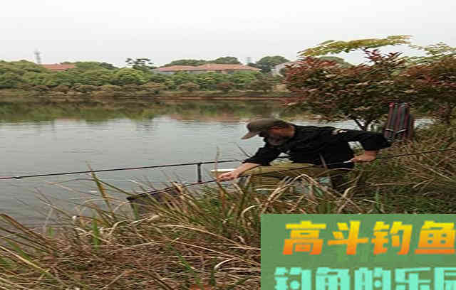 鱼口弱的时候，这样做有利鱼儿开口