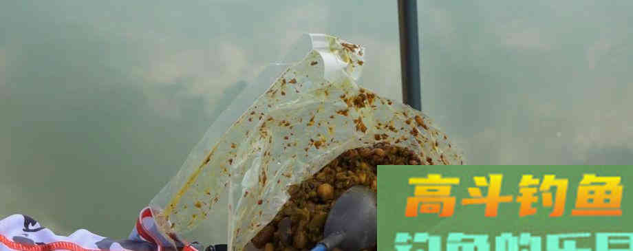 夏季钓鱼这样打窝，招鱼更快，更容易吸引大鱼！