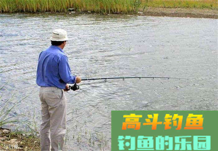 饵料的三大类以及五种挂蚯蚓的方法