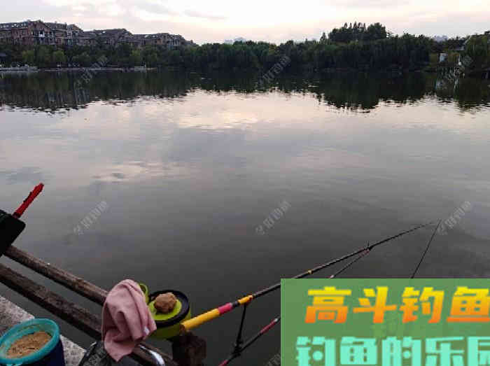 秋季野钓与坑钓的饵味型分折与总结