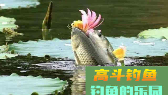 什么是麻团钓法？又有什么效果呢