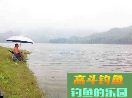 野钓想要上大鱼，打窝得慢等