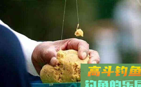 开饵和上饵的注意事项