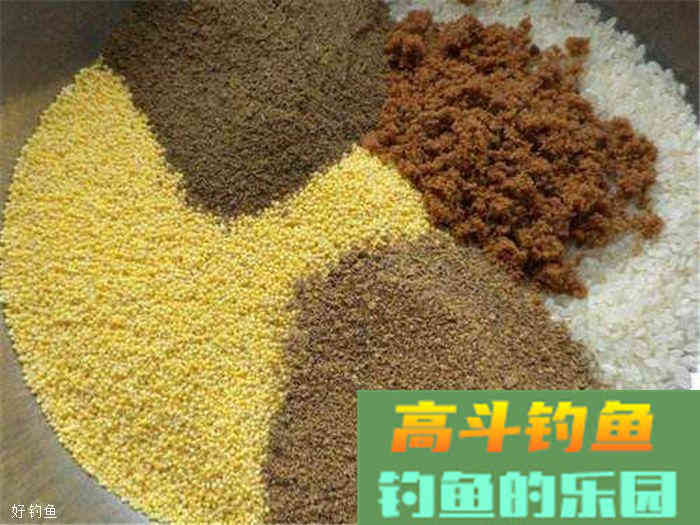 怎样识别饵料好坏，选饵料的技巧