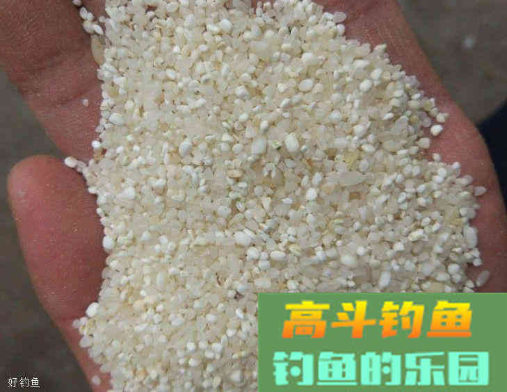 冬季钓鲫鱼怎么用饵最好？