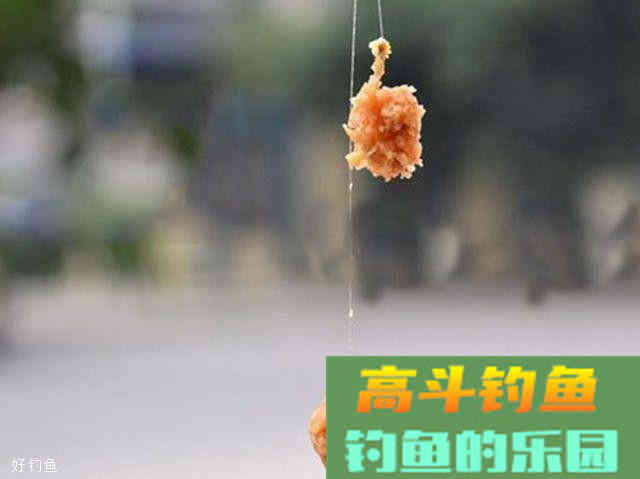 开出一款好饵料的6个指标，是什么？