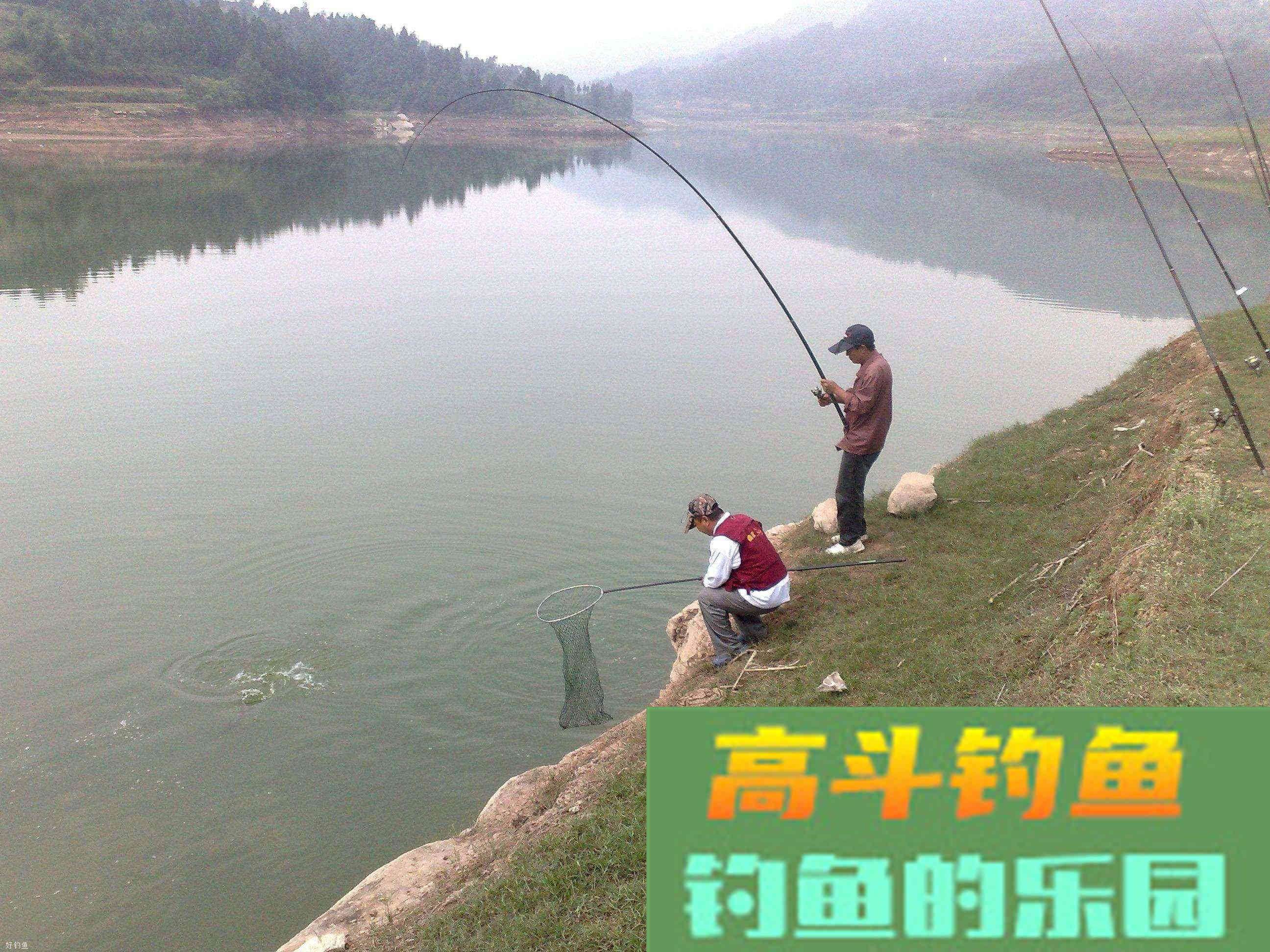 水库打窝技巧，诱鱼高效而且不浪费