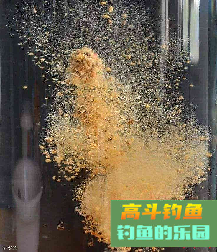 黄面面与麻团钓法混合使用，黑坑垂钓会有惊人效果！
