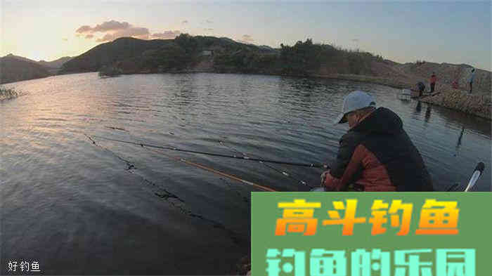 为什么不要以饵料的香型来判断适合什么鱼？这里有答案