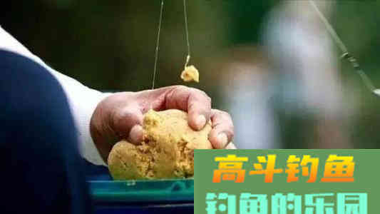 秋季天冷钓鲫鱼怎样用饵，用什么饵料配方