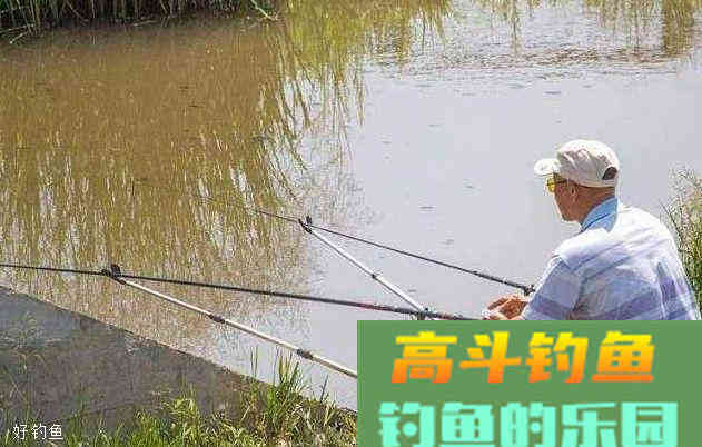 野钓怎么用饵？用这四种方法不上大物才怪