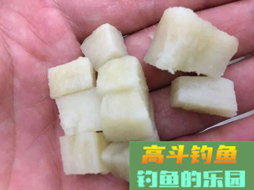 螺鲤如何开拉饵？方法和比例，小鸡饲料也能这么用