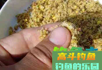 钓鱼开饵有秘诀，学会这六招天天都爆护