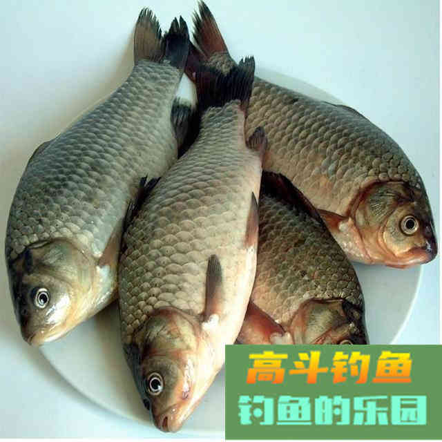 巧用泡沫好钓鱼，当忘记带钓饵时，可以试试这样