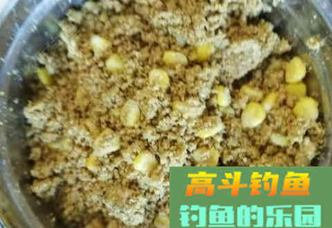 钓鱼用饵技巧，饵料进水多长时间换饵最合适？