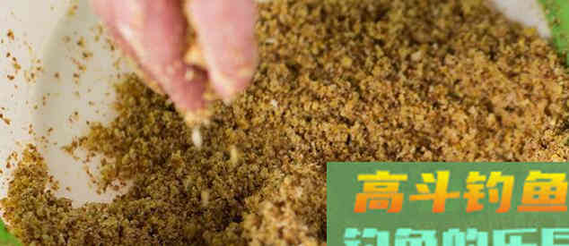 黑坑钓鱼想要爆护，散炮饵的运用是关键