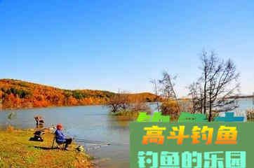 钓鱼打窝要注意些什么事项? 钓鱼打窝要注意些什么事项?