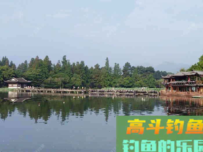 打窝的意义目的，季节气温不同该怎么打窝