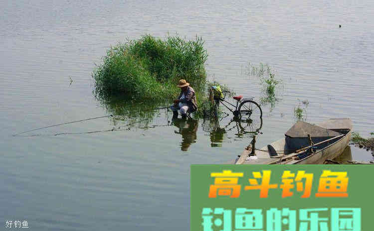 钓鱼小药应如何合理使用才能保证鱼获