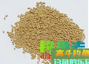 黑坑钓青鱼用什么饵料、小药好呢？