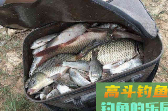 开饵时比用小药更有效的东西，加一点鱼获更好