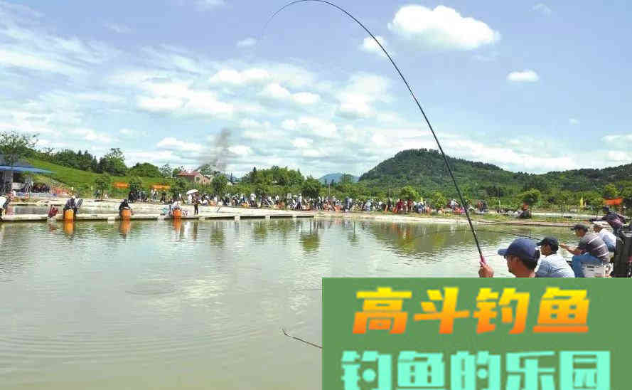钓鱼小药不能乱用，可这几种情况不用又不行