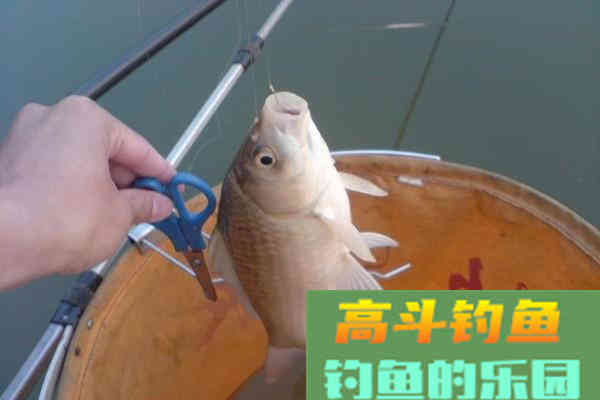 几个常用的上饵方法及优缺点
