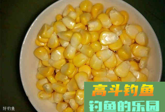 水库钓鲤鱼的用饵思路和技巧
